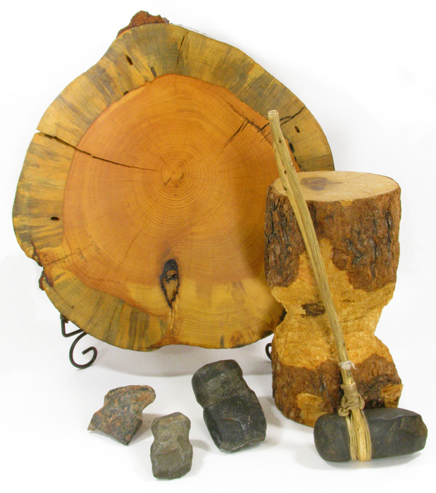Education Outreach materials - Tree ring and stone felling tools